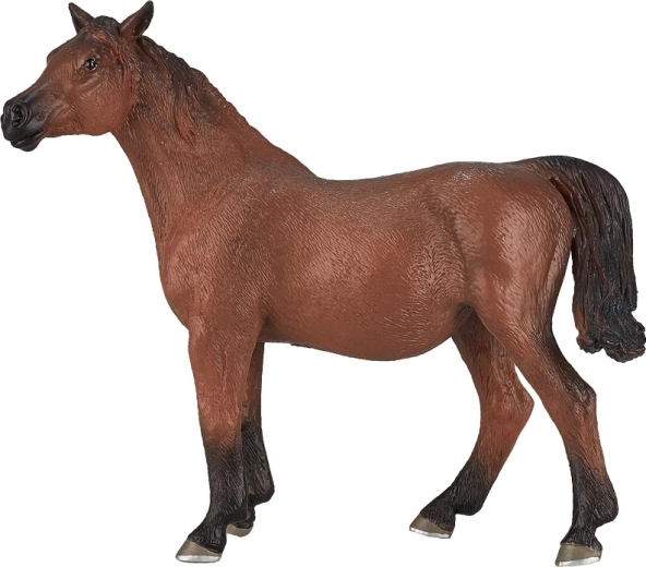 Uzticams arābu ķēves atveids