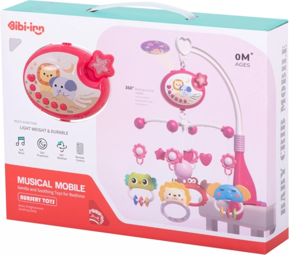 Nomierinoša zvaigžņu projekcija