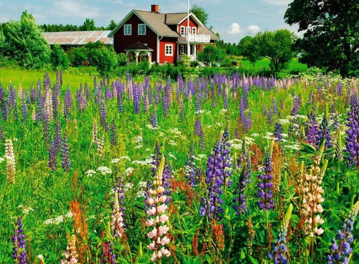 Eco-friendly and Easy to Maintain