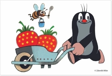 Kvalitatīvs koks un čehu ražojums