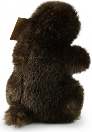 Drošs no dzimšanas