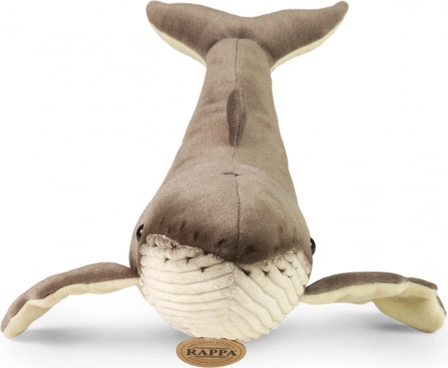 Reālistisks izskats