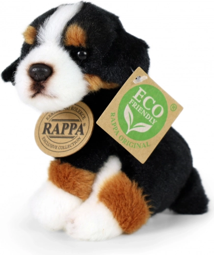 Daudzveidīgas šķirnes