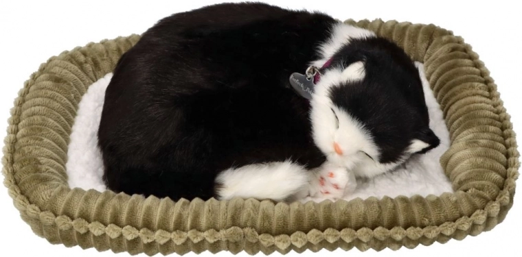 Ērta guļvieta stilīgai novietošanai