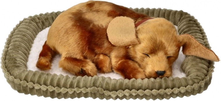 Reālistisks miegs un viegla elpošana