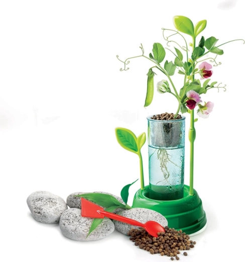 Caurspīdīgs trauks sakņu novērošanai