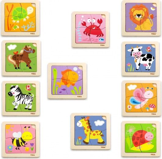Cheerful animal themes
