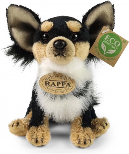 ECO FRIENDLY pildījums no PET pudeļu pārstrādes