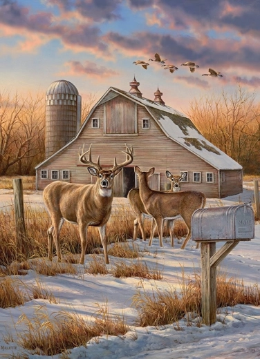 Beautiful winter countryside motif