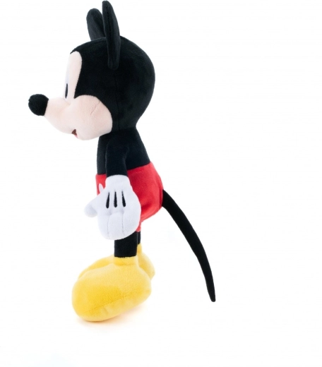 Vienkārša kopšana un daudzveidīgs pielietojums