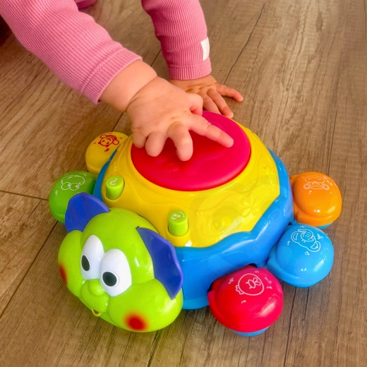 Educational play