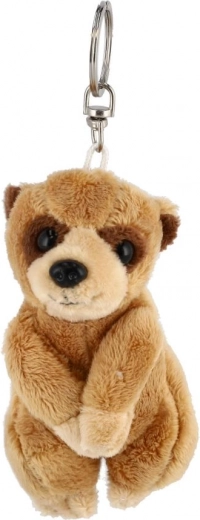 Burvīgs surikatas dizains