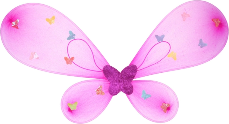 Butterfly wings and magical accessories