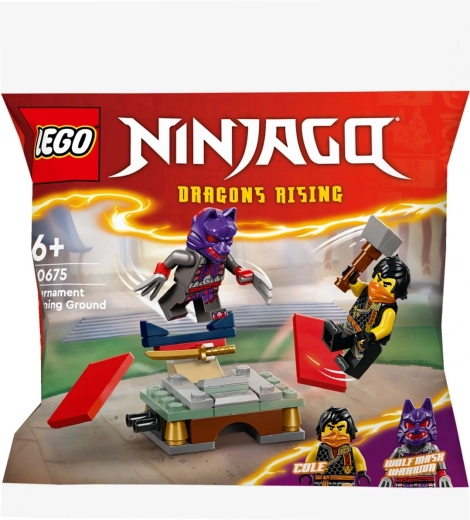 Aizraujošas cīņas ar Lego Ninjago varoņiem