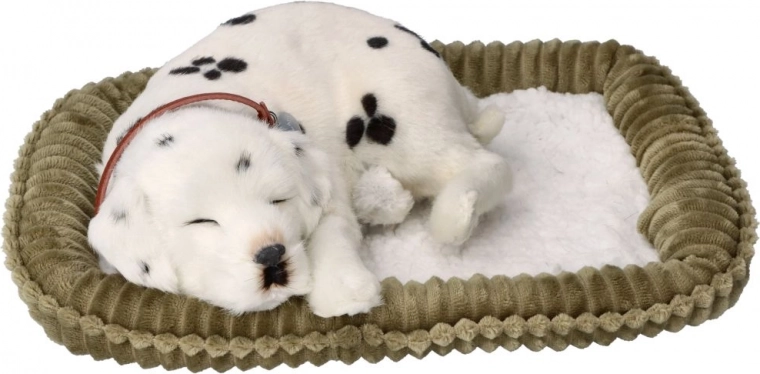 Reālistiska elpošana un mierīgs miegs