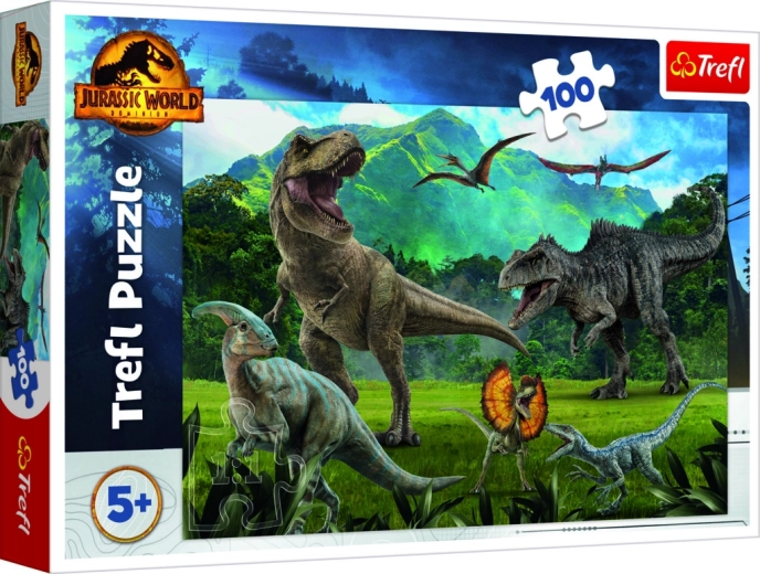 100 pieces for smart puzzling