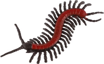 8 dažādas sugas praktiskā maisiņā