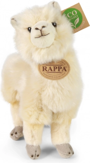 Eco‑friendly pildījums no pārstrādāta PET