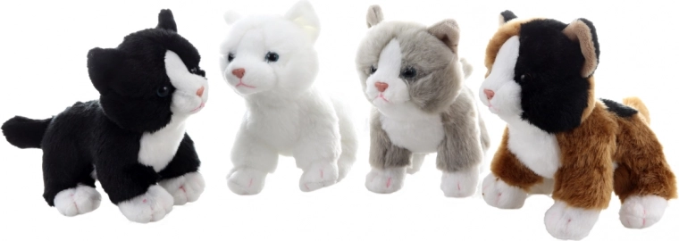 Adorable color variations
