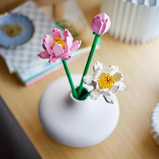 Reālistiskas detaļas un radoša būvēšana