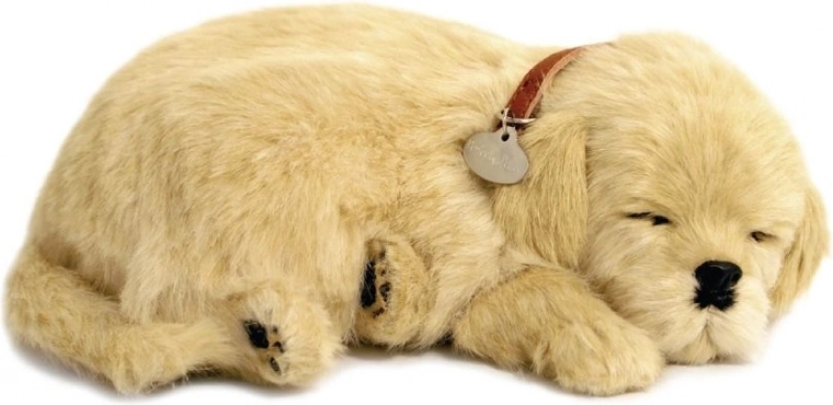 Reālistiska elpošana un mierīgs miegs