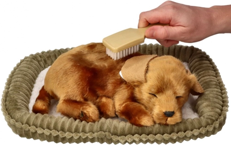 Interaktīva aprūpe bez raizēm