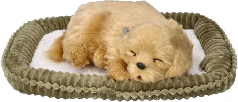 Komplektā mīksta guļvieta