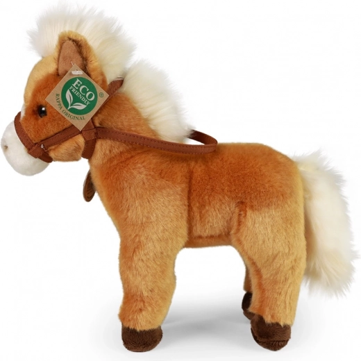 EKOLOĢISKS pildījums no pārstrādātām PET pudelēm