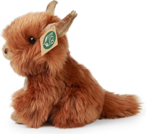 Autentisks Skotijas kalnu liellopa izskats