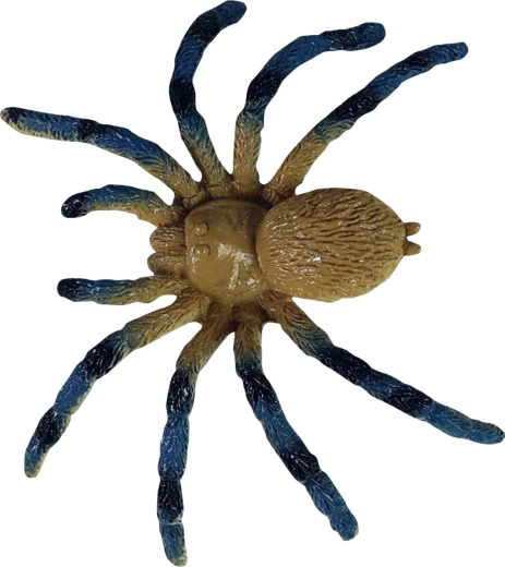 Izglītojošs pielietojums