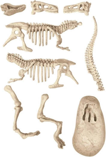 Izroc un atklāj T‑Rexu