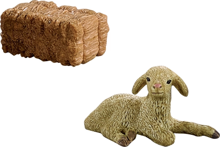 Decorative and educational