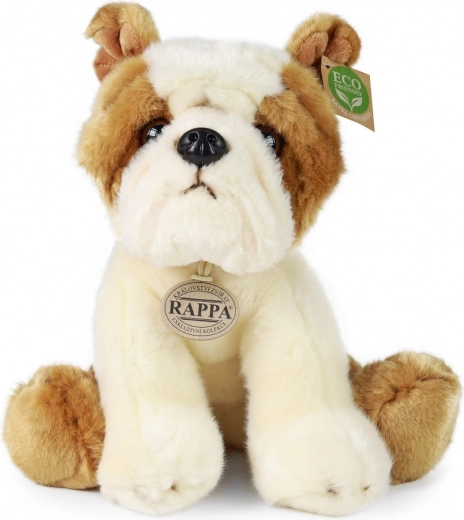 Eco-friendly materiāli