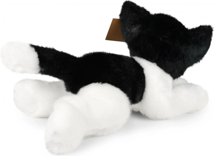 Cuddly companion for kids and collectors