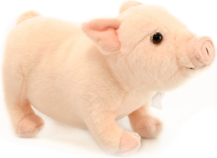 Reālistiskas detaļas vēl vairākai jautrībai