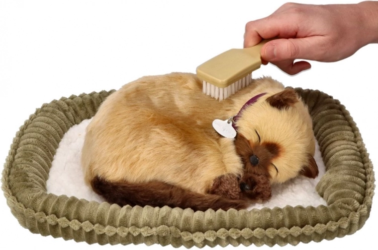 Kopšana un rotaļa ar birstīti