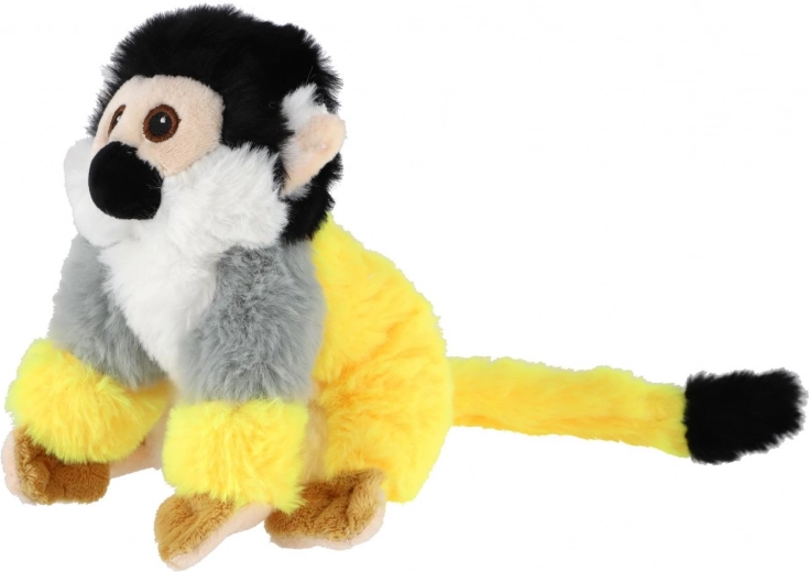 Droša no dzimšanas (0m+)