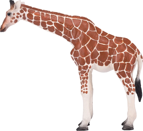 Realistic design and hand painting