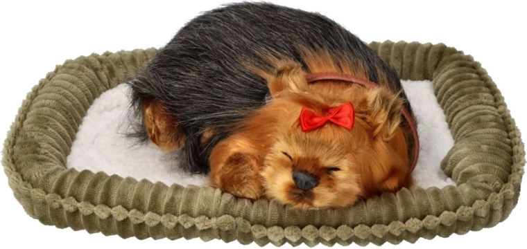 Viegla kopšana, prieks bez rūpēm