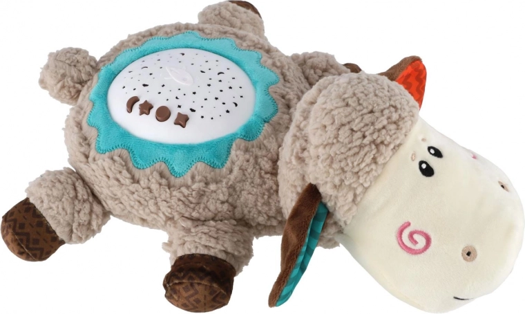 Nomierinoša zvaigžņu projekcija