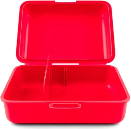 Gudrs dalītājs kārtībai kārbā