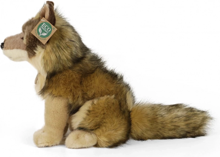 Eco-friendly pildījums no PET