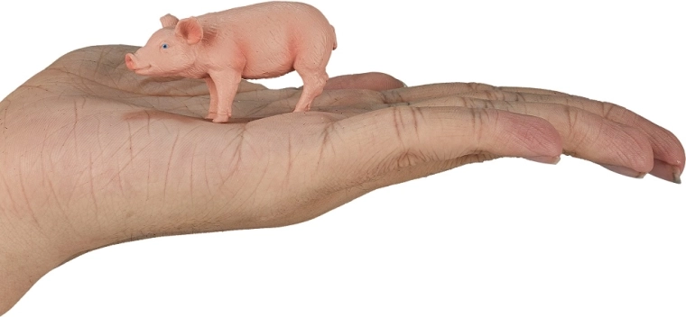 Kompakts izmērs mazai rociņai