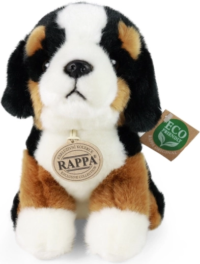 Zīmols RAPPA