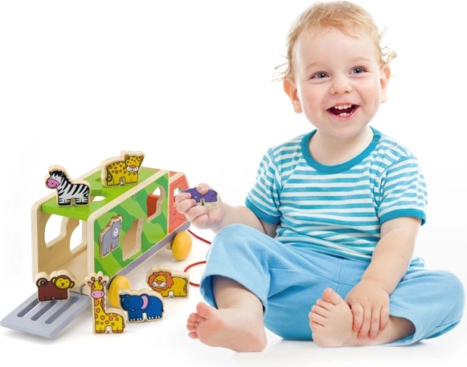 Motorikas un koordinācijas attīstība