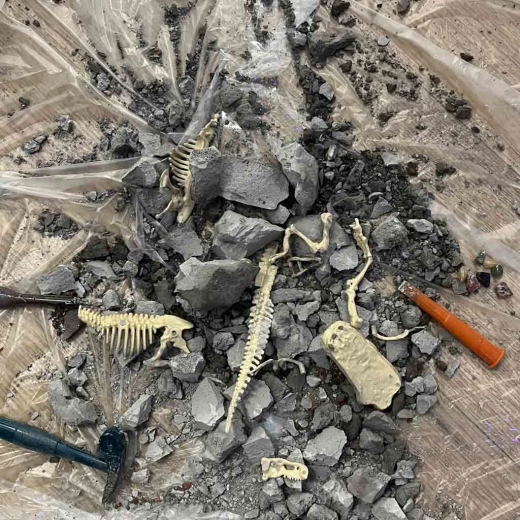 Dinozaura arheoloģiskie izrakumi