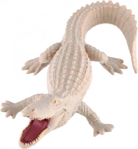 Izglītojoša vērtība par retu krāsojumu