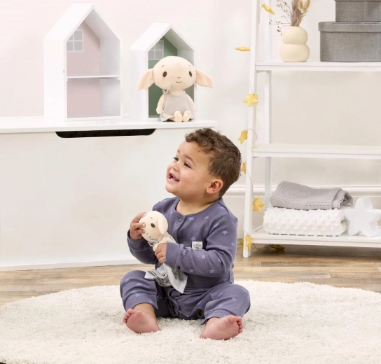 Iecienīts motīvs no Harija Potera