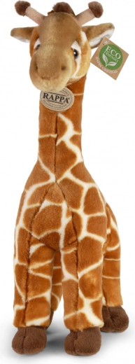 Eco‑friendly pildījums no pārstrādātām PET pudelēm