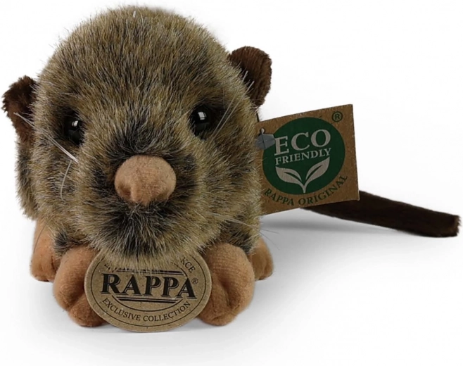 Droša jau no dzimšanas